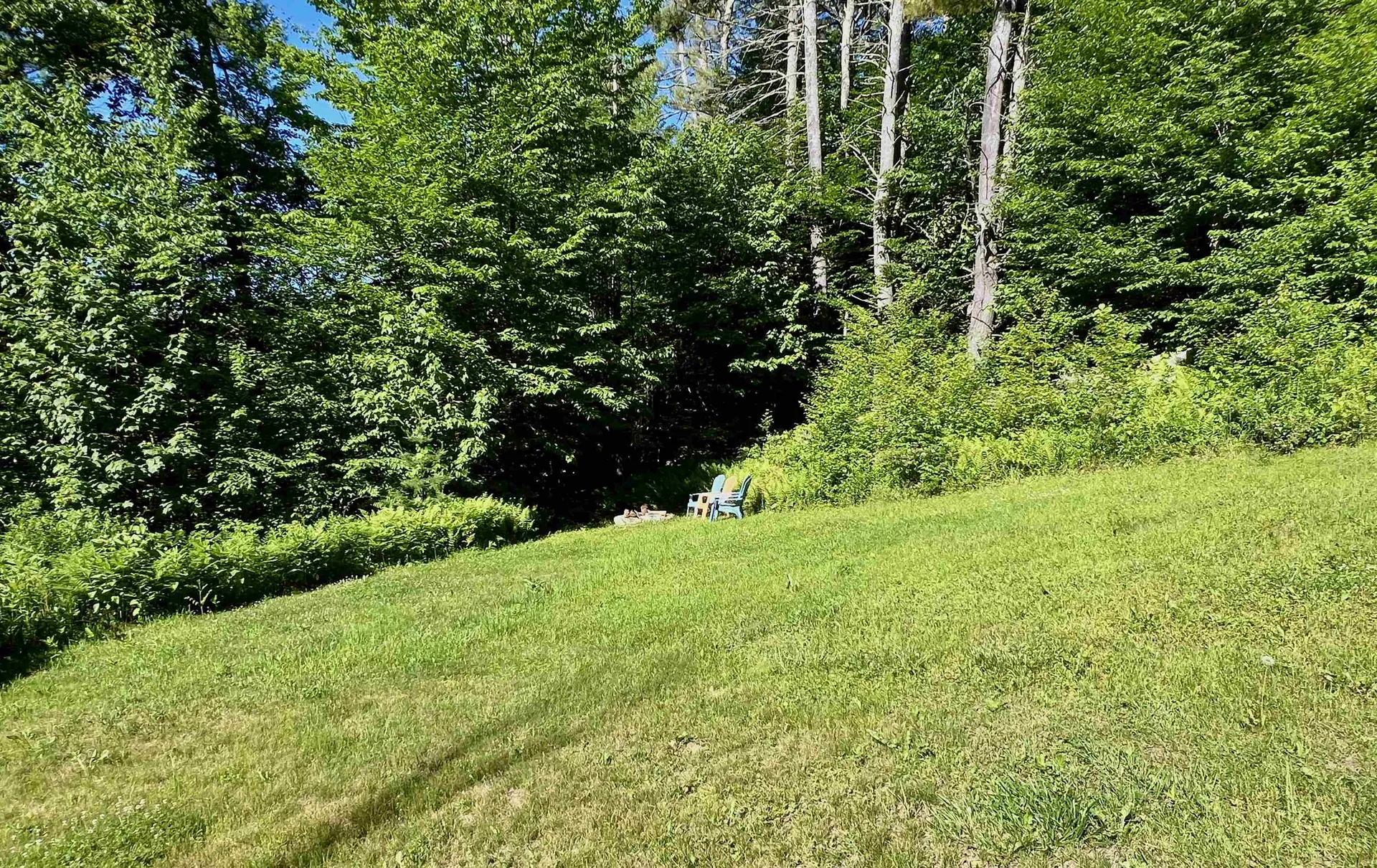 163 Howe Farm Road Jamaica VT 05343