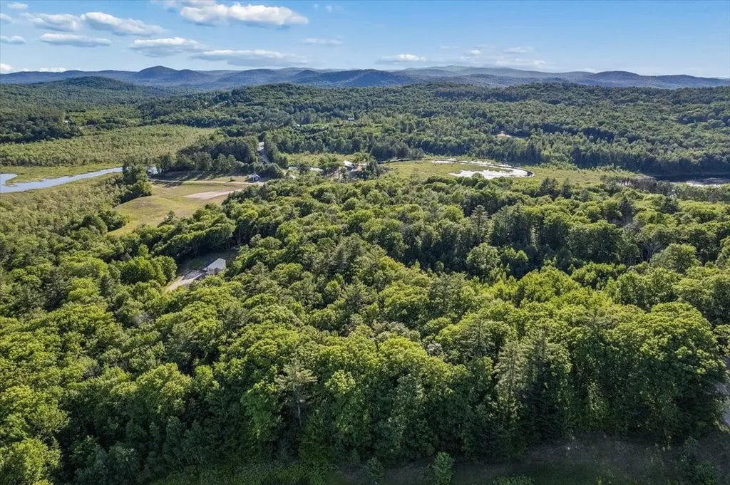 Littlefield Road Danbury NH 03230