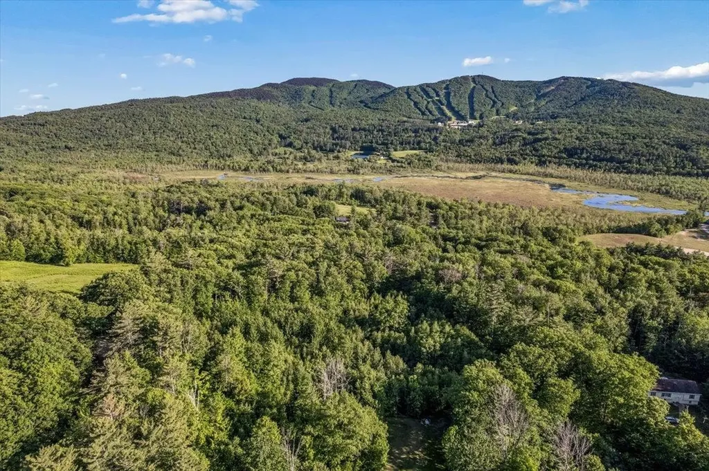 Littlefield Road Danbury NH 03230
