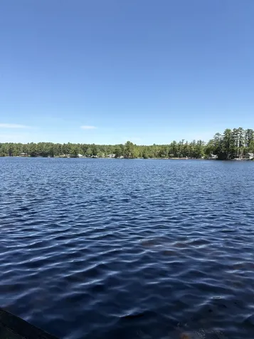 72 Felker Drive Milton NH 03854
