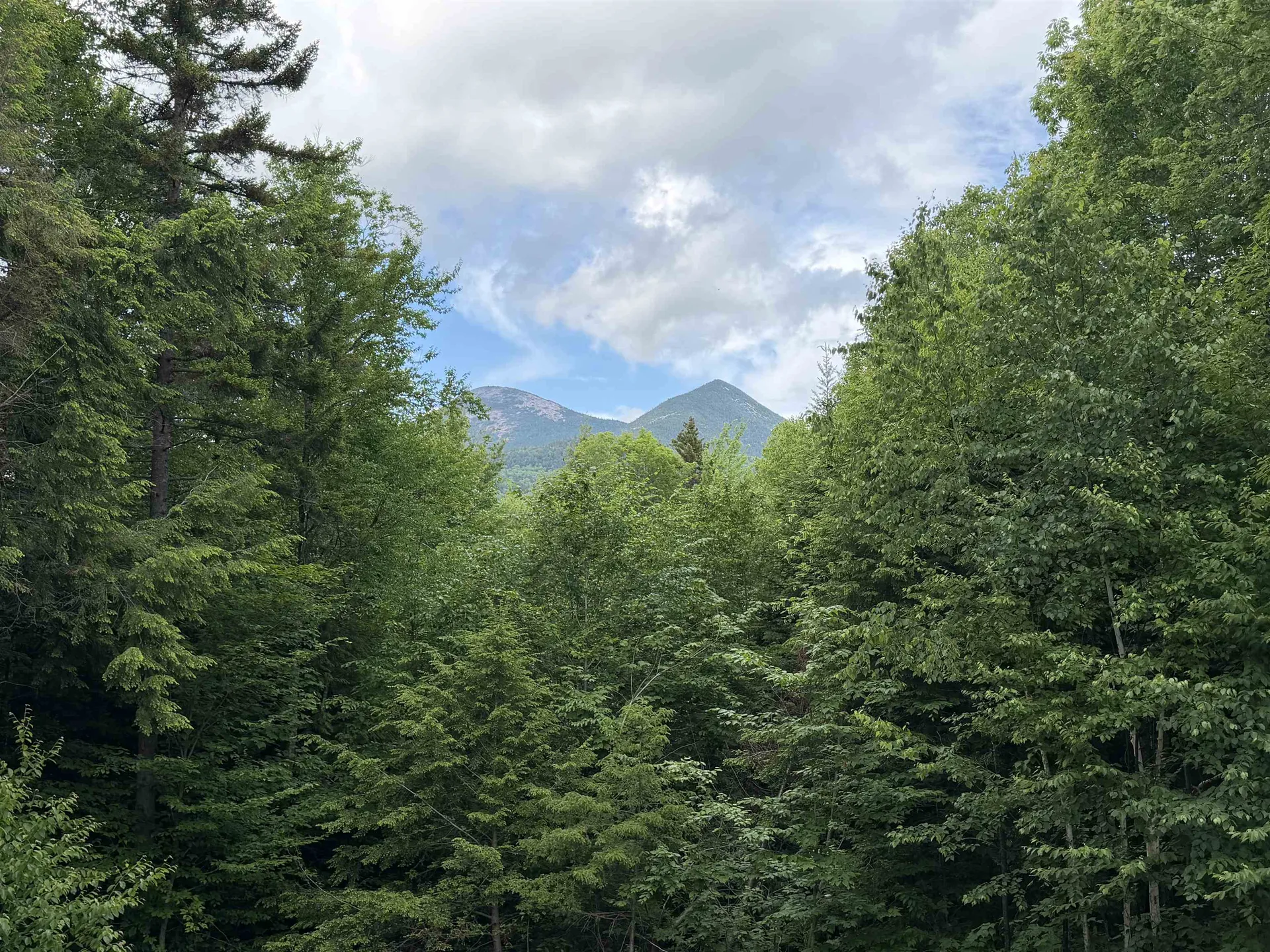 299 Cloutier Drive Stark NH 03582