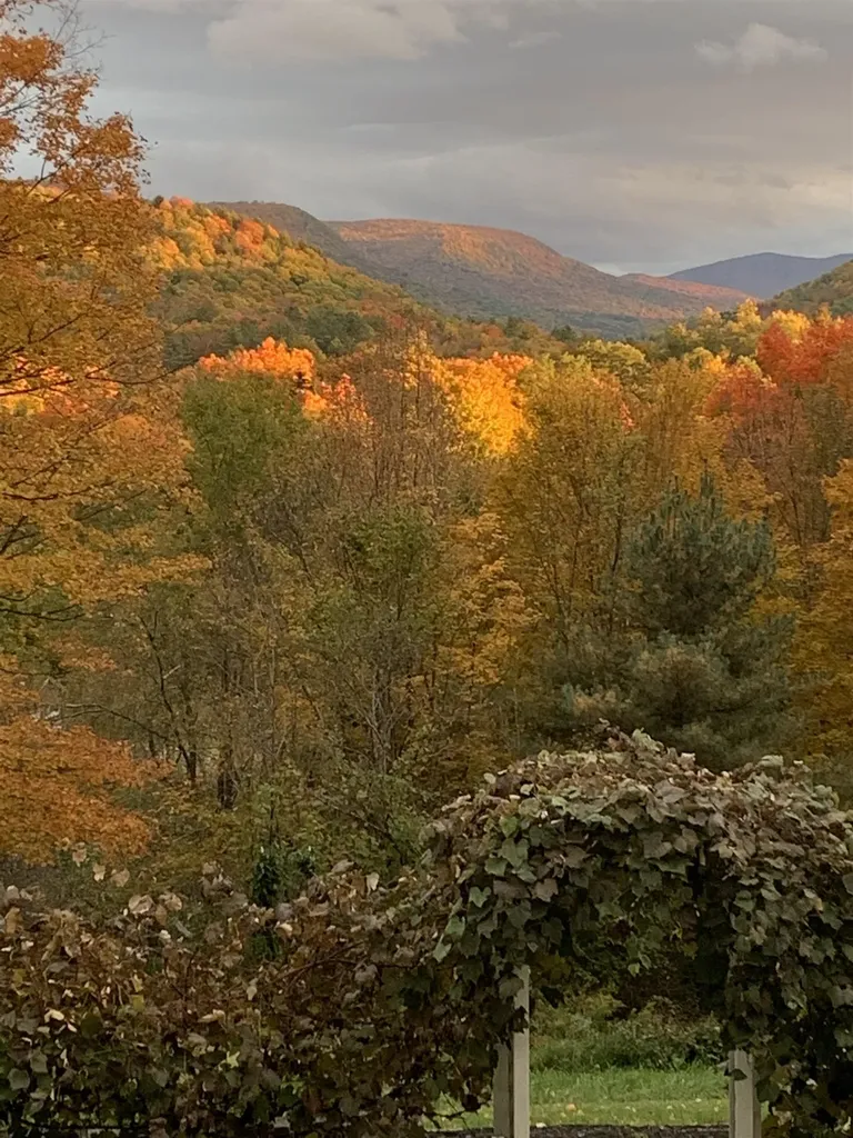43 North Street Middletown Springs VT 05757