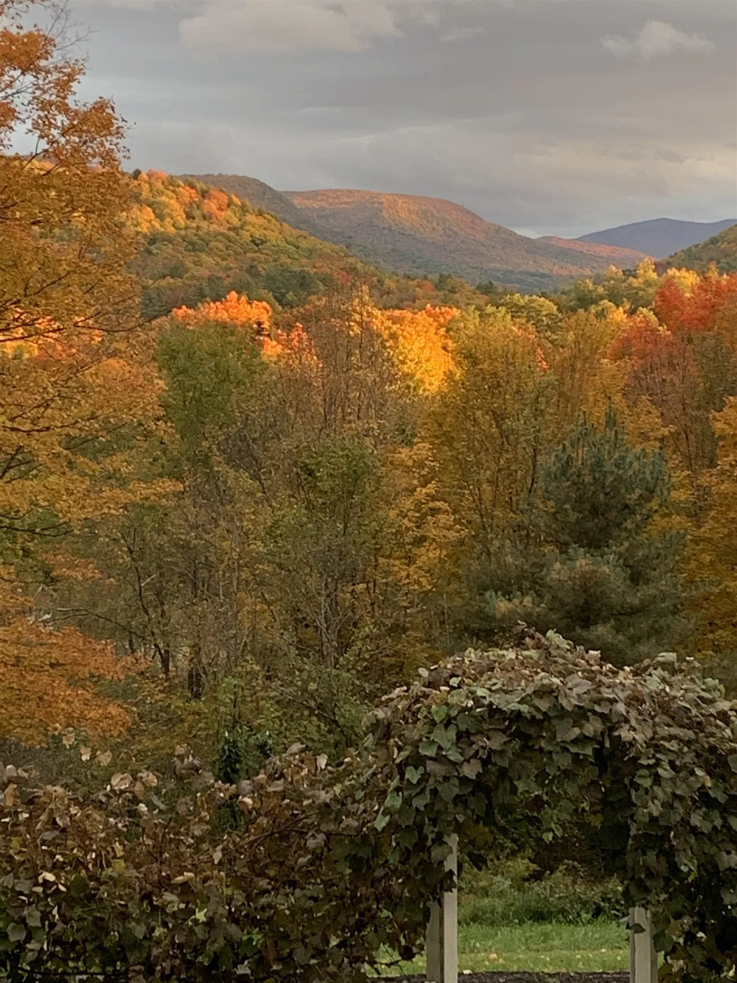 43 North Street Middletown Springs VT 05757