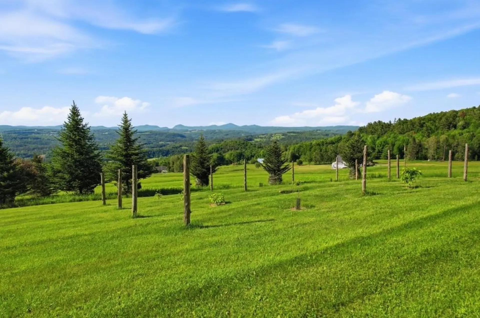 1063 Whipple Hill Drive Lyndon VT 05851
