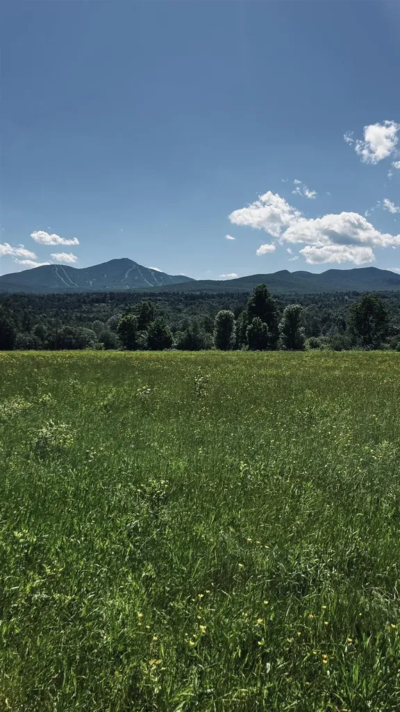 237 Loop Road Jay VT 05859