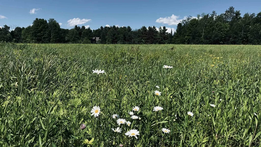 237 Loop Road Jay VT 05859
