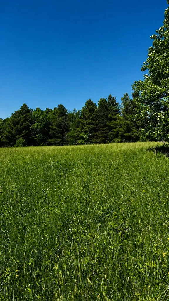237 Loop Road Jay VT 05859