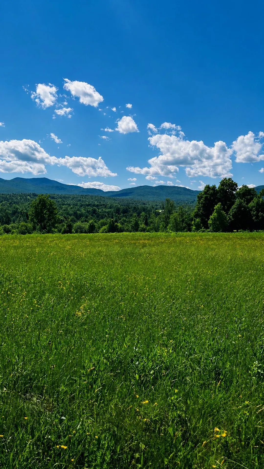 237 Loop Road Jay VT 05859