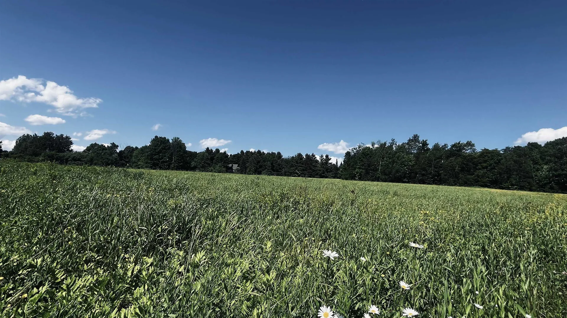237 Loop Road Jay VT 05859