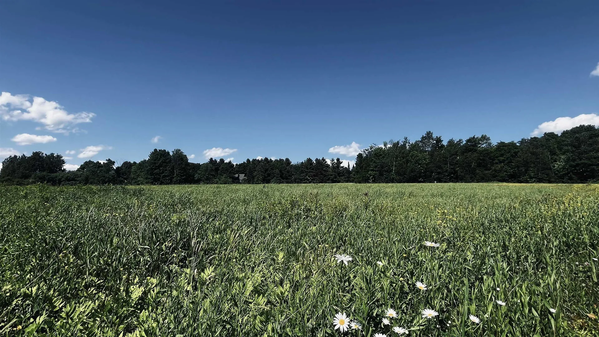 237 Loop Road Jay VT 05859