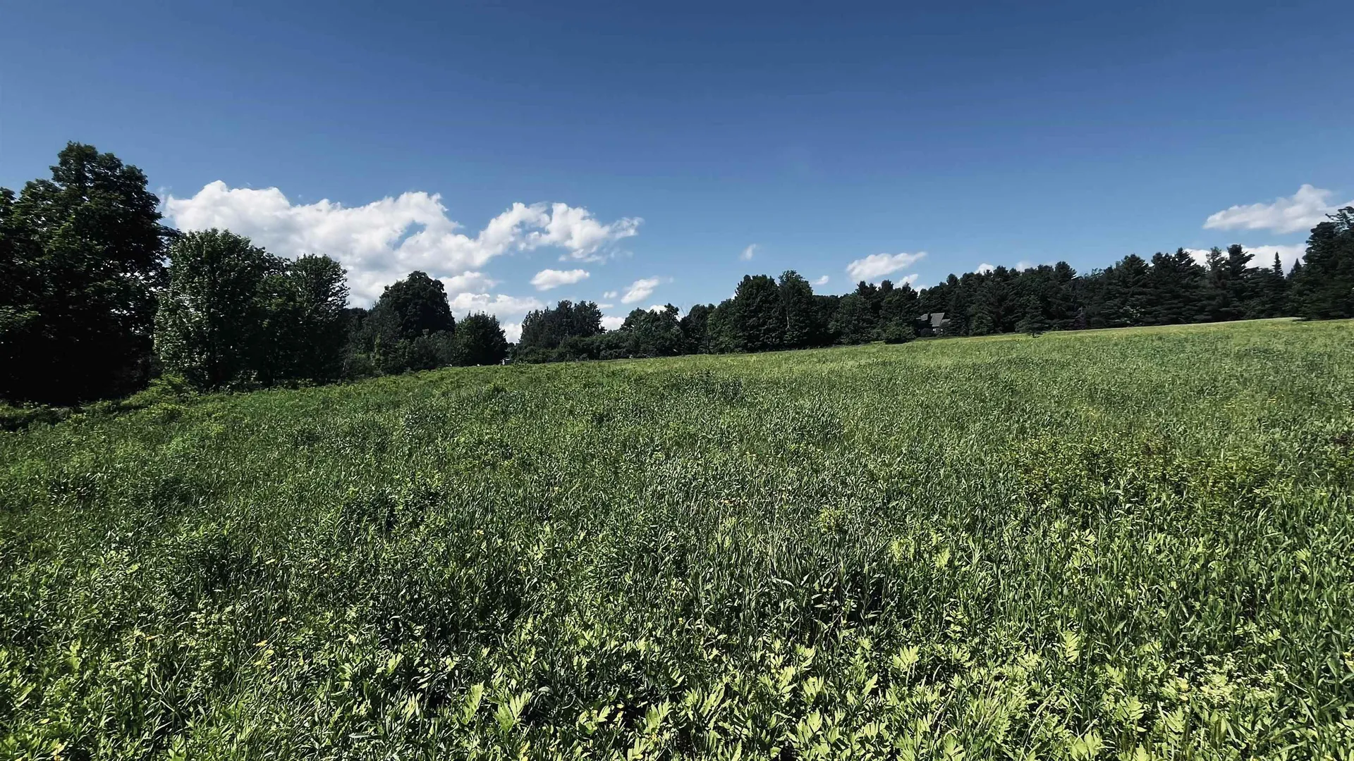237 Loop Road Jay VT 05859