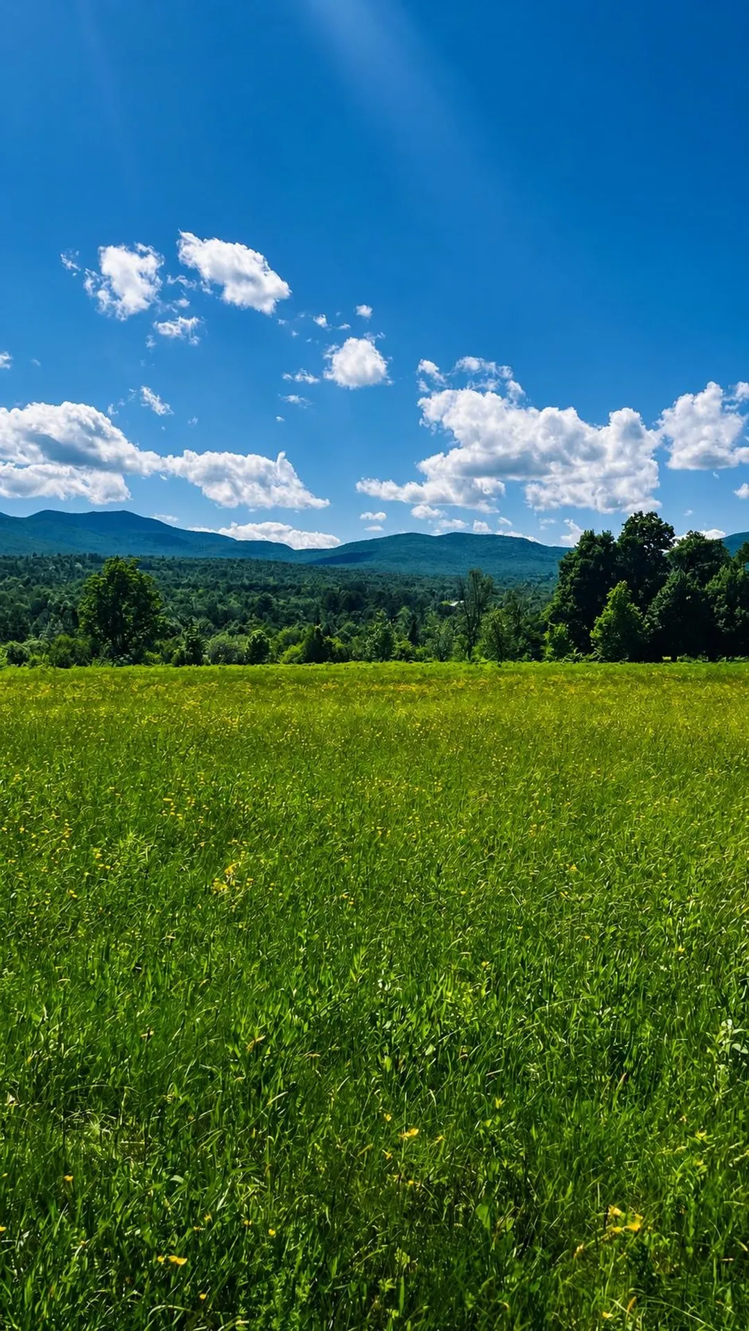 237 Loop Road Jay VT 05859