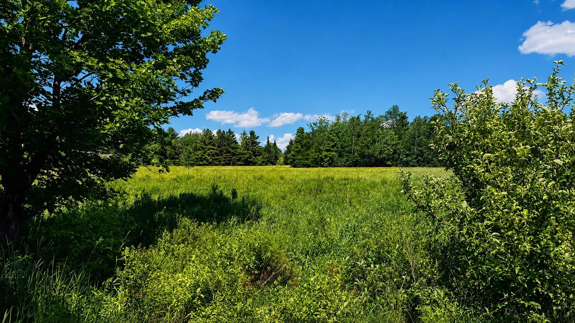 237 Loop Road Jay VT 05859