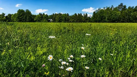 237 Loop Road Jay VT 05859