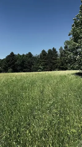 237 Loop Road Jay VT 05859