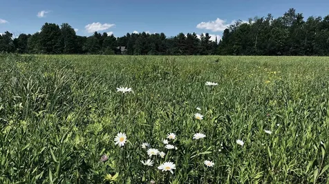 237 Loop Road Jay VT 05859
