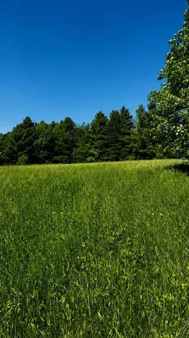 237 Loop Road Jay VT 05859