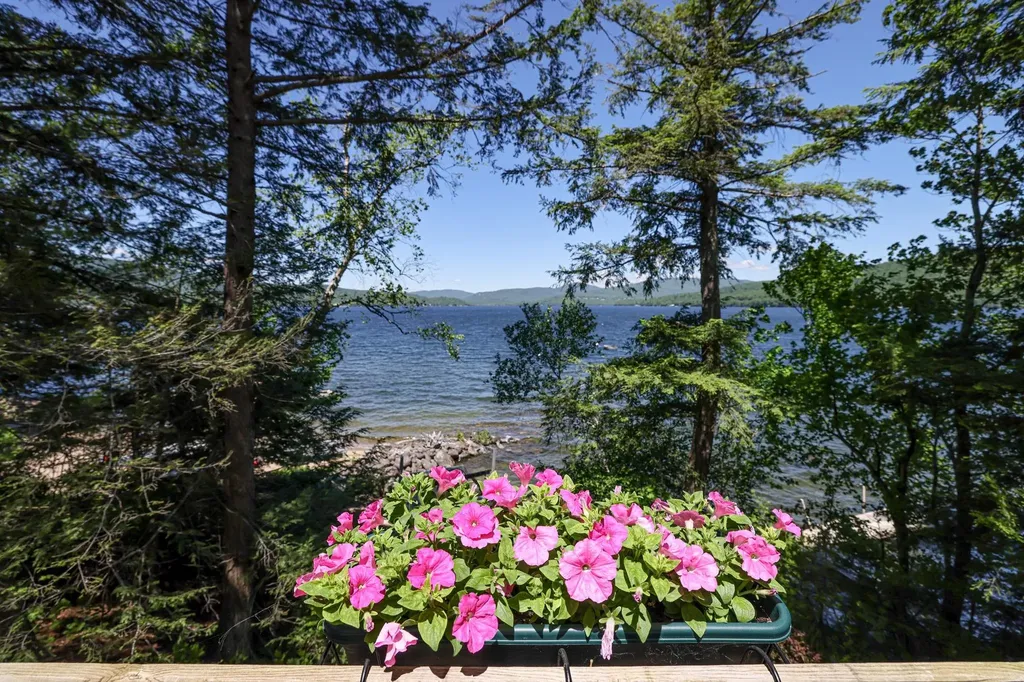 349 Shore Drive Bridgewater NH 03222