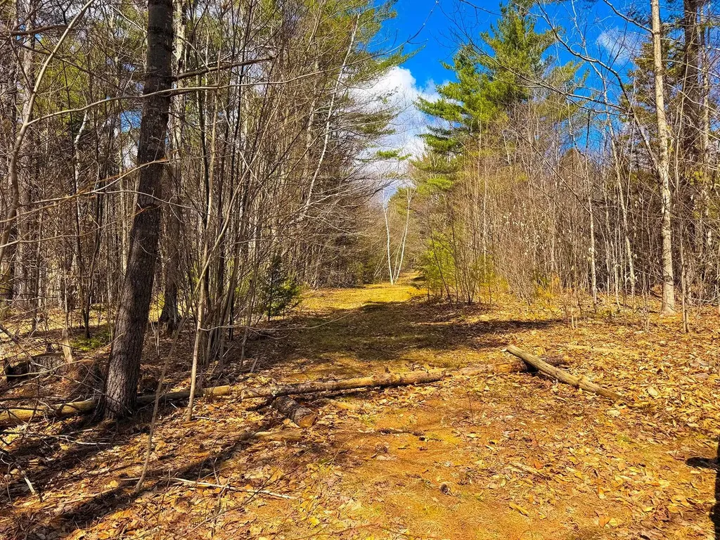 Tm 407 L 35 Shem Valley Road Alexandria NH 03222
