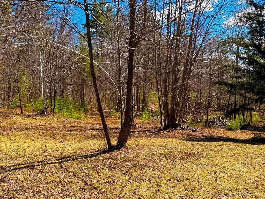 Tm 407 L 35 Shem Valley Road Alexandria NH 03222