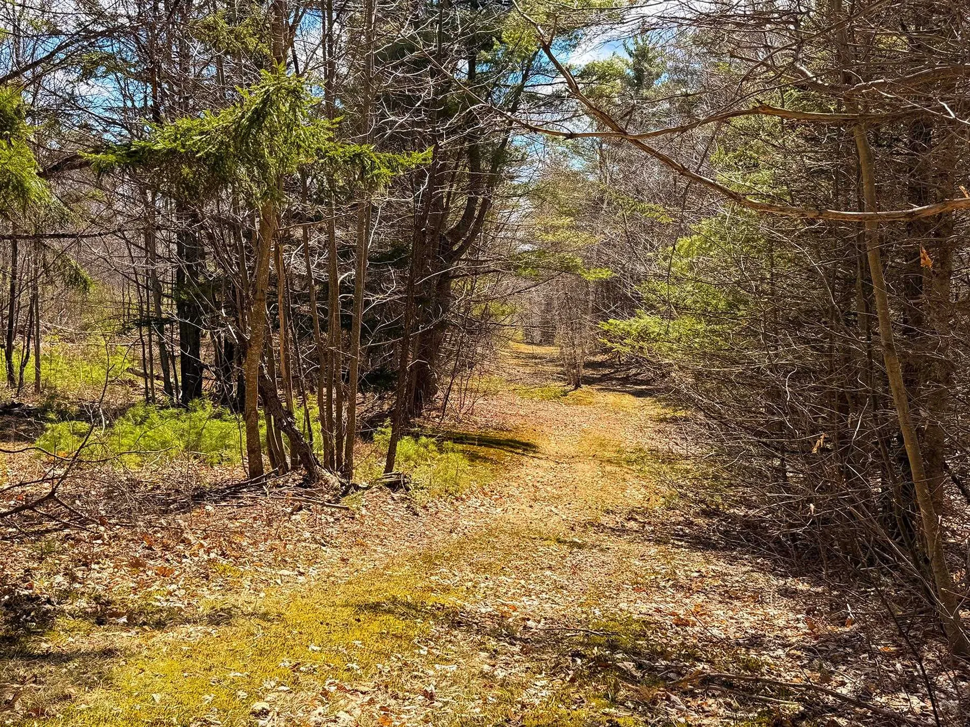Tm 407 L 35 Shem Valley Road Alexandria NH 03222