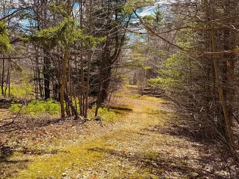 Tm 407 L 35 Shem Valley Road Alexandria NH 03222