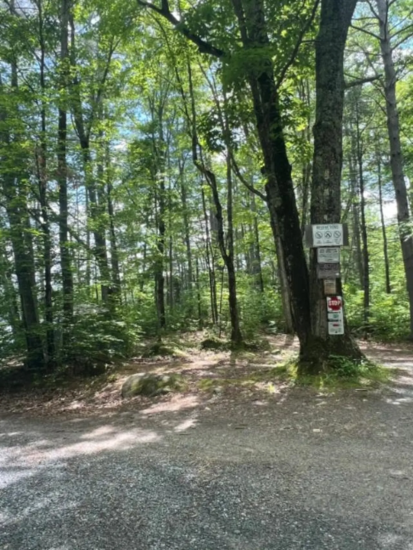 00 Cove Road Canaan NH 03741