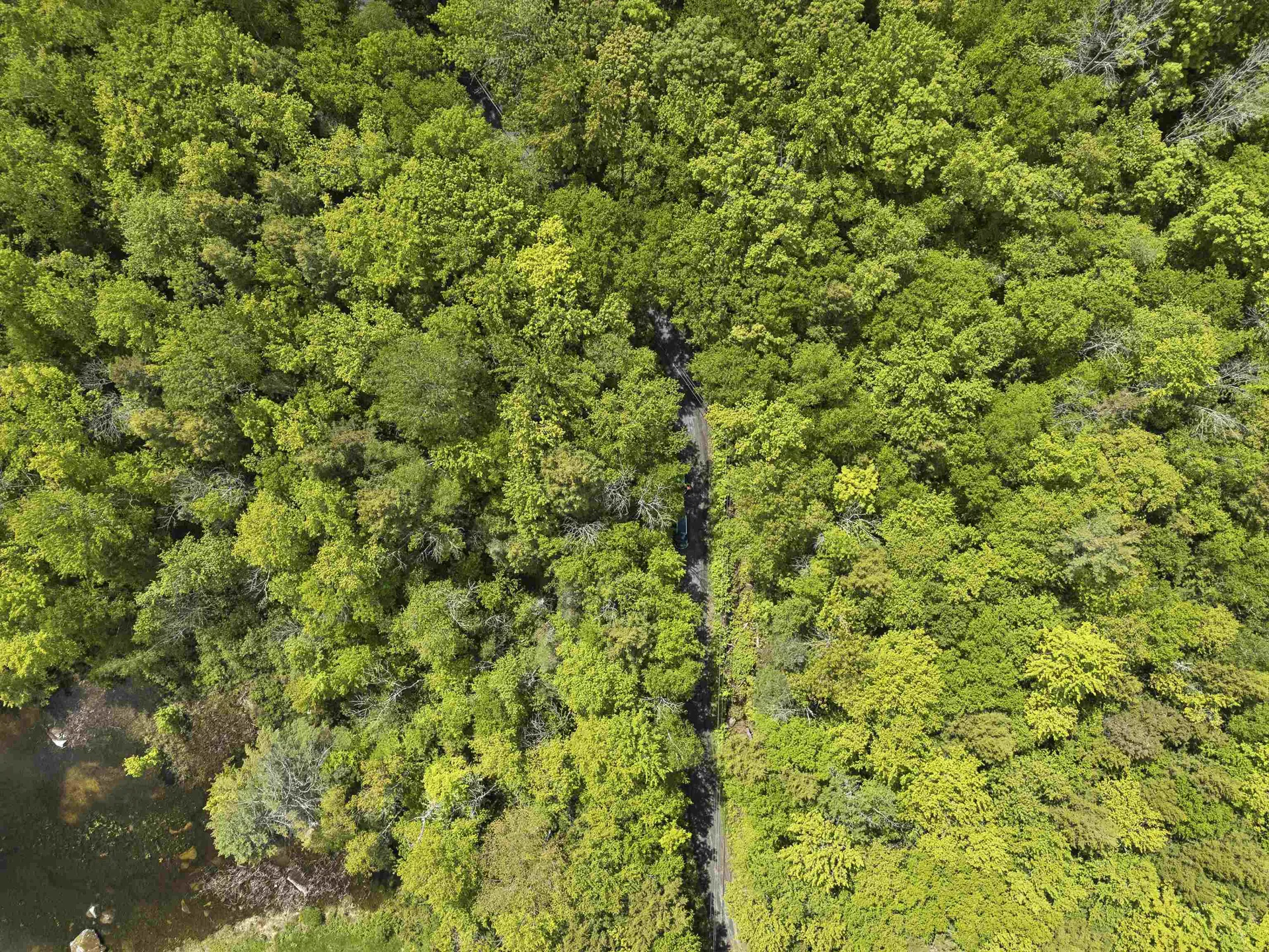 00 Cove Road Canaan NH 03741