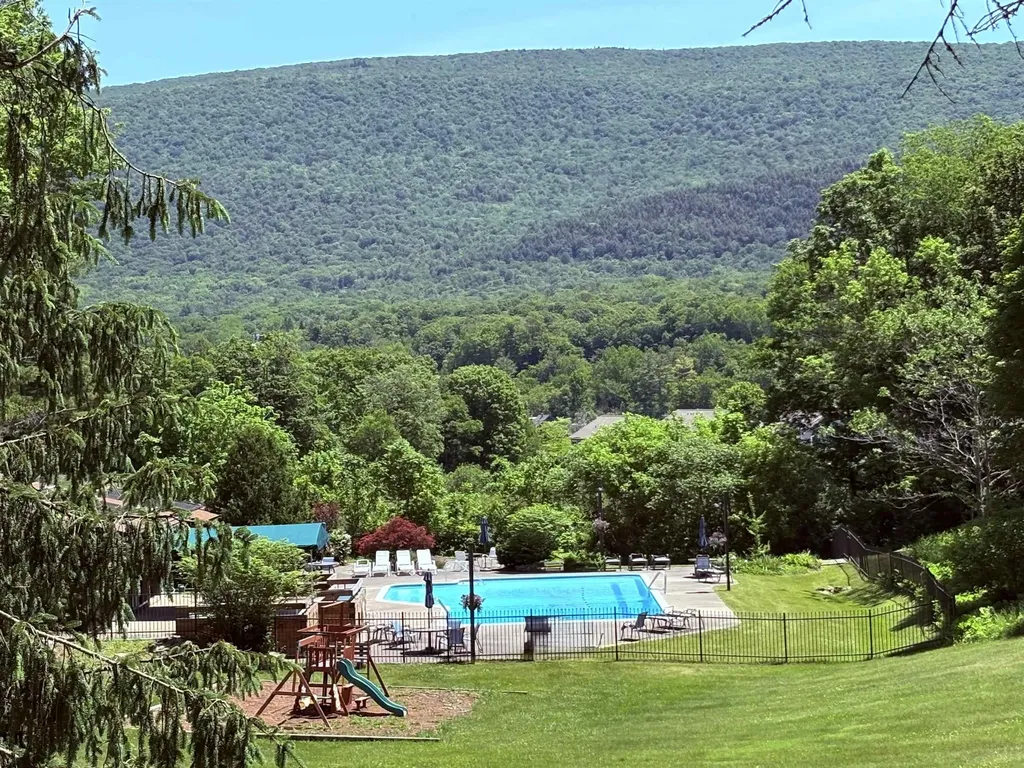 60 Murray Hill Heights Road Manchester VT 05255