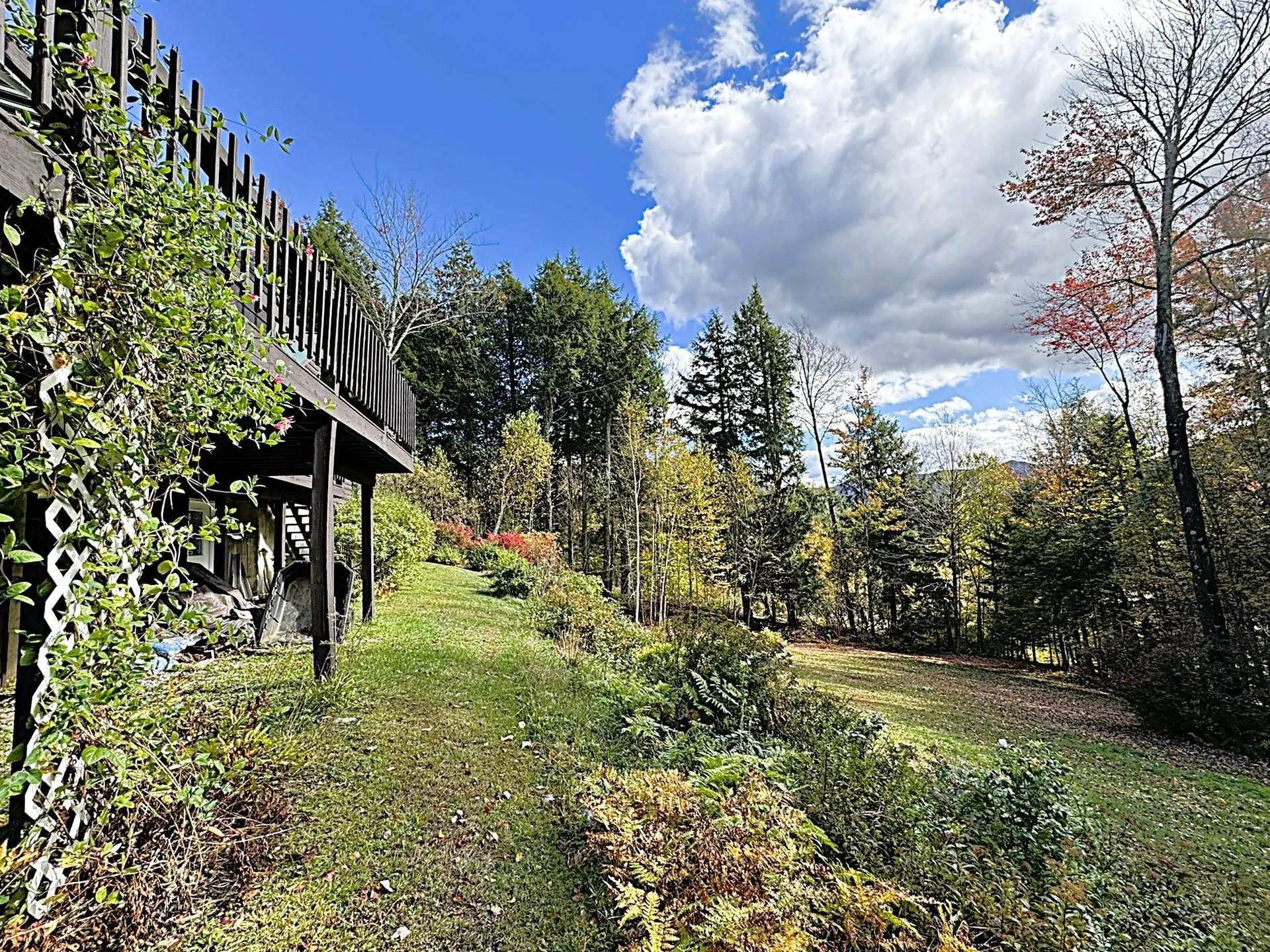 221 Fiddlehead Lane Pittsfield VT 05762