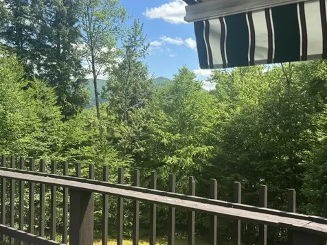 221 Fiddlehead Lane Pittsfield VT 05762