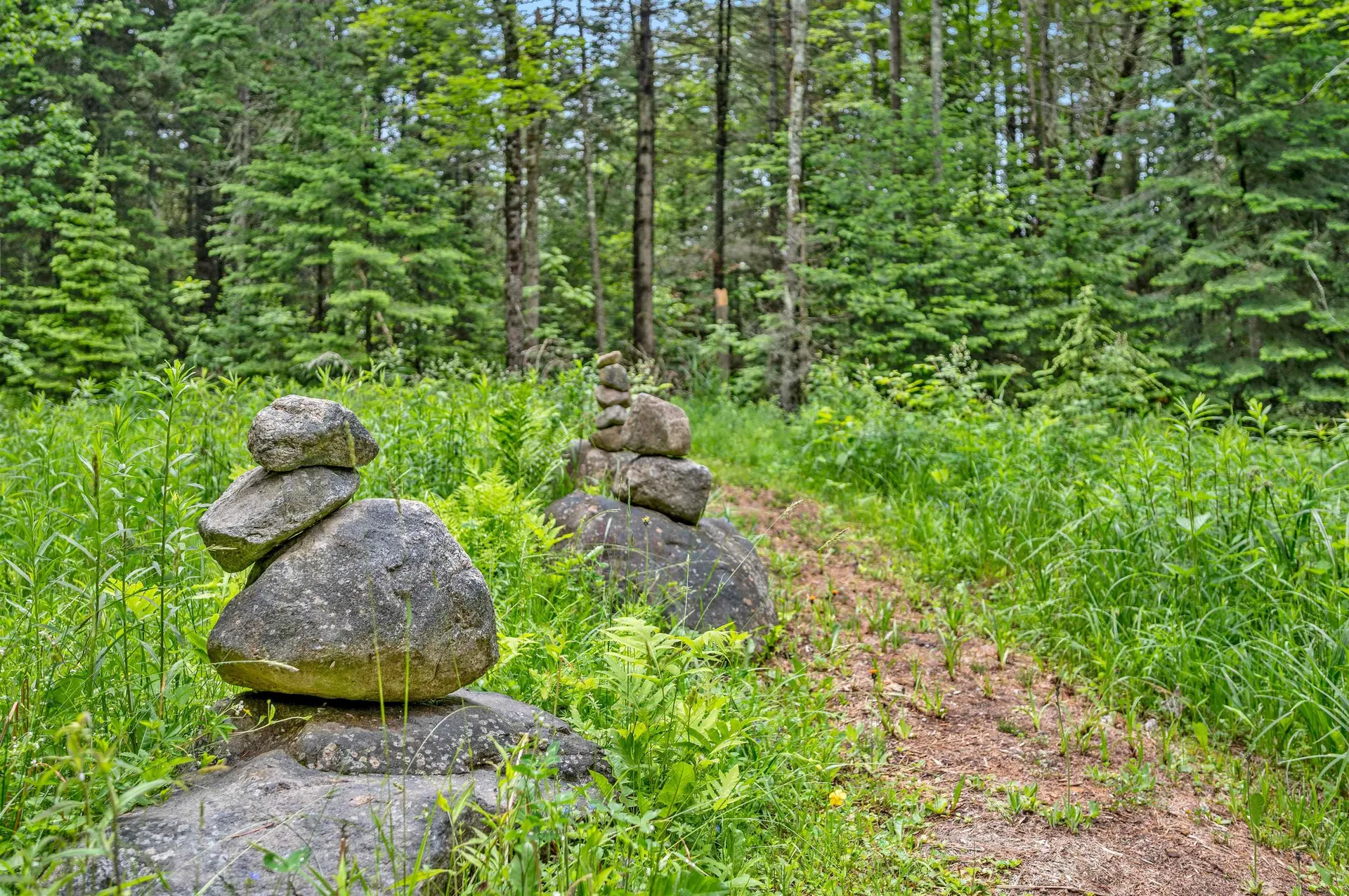 228 Guyette Road Marshfield VT 05667