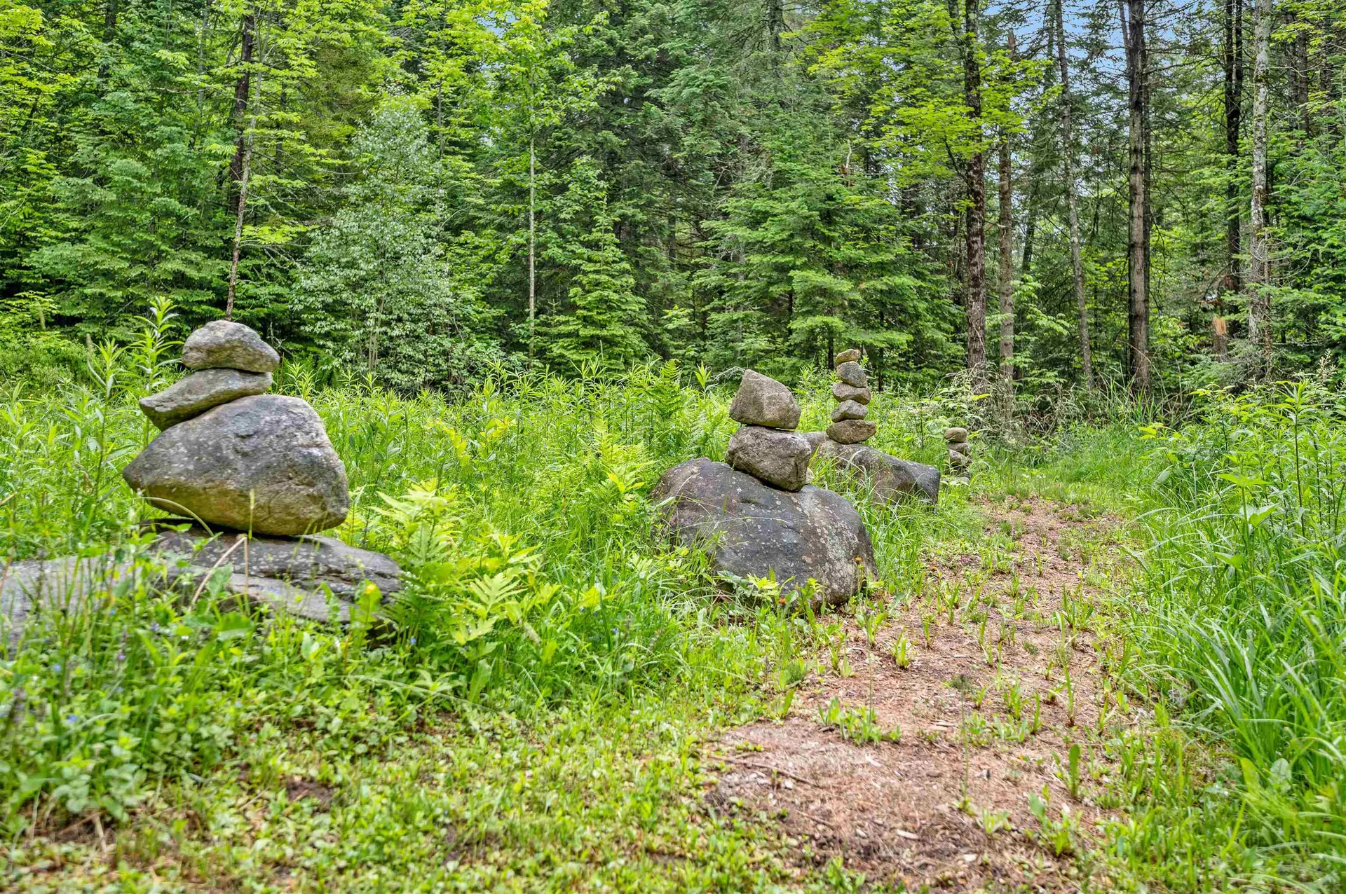 228 Guyette Road Marshfield VT 05667