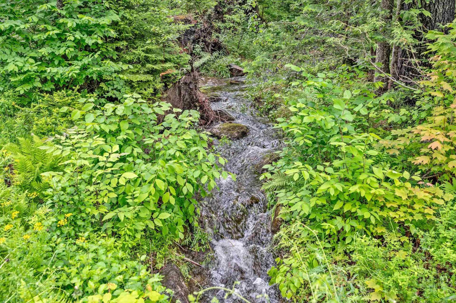 228 Guyette Road Marshfield VT 05667