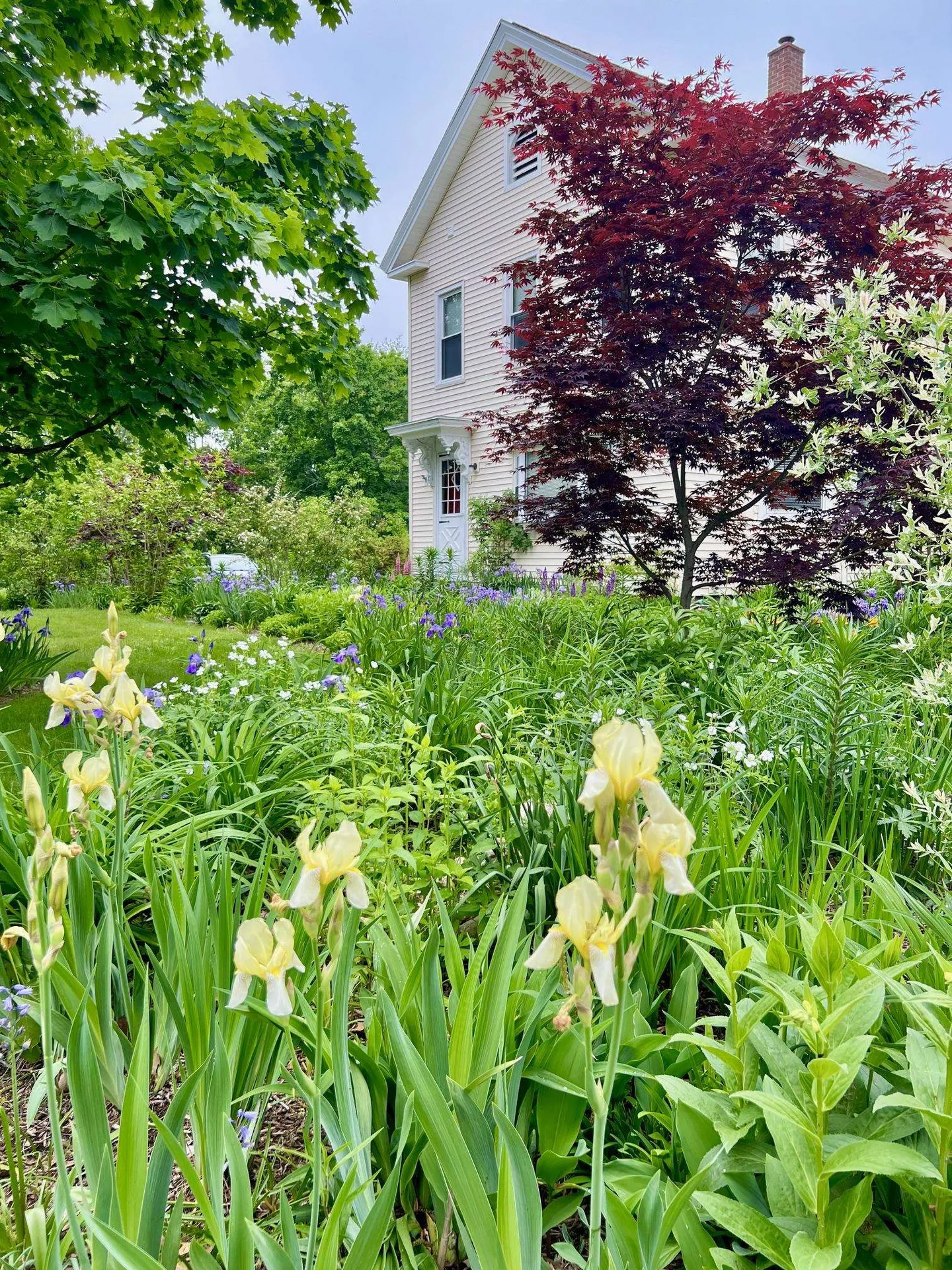 29 Spaulding Street Milford NH 03055
