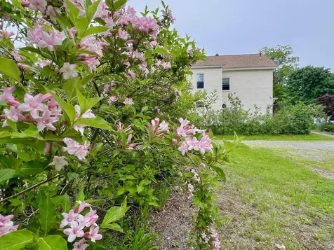 29 Spaulding Street Milford NH 03055