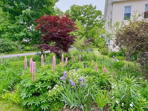 29 Spaulding Street Milford NH 03055