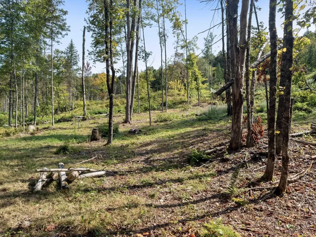 219 Weber Brook Lane Craftsbury VT 05826