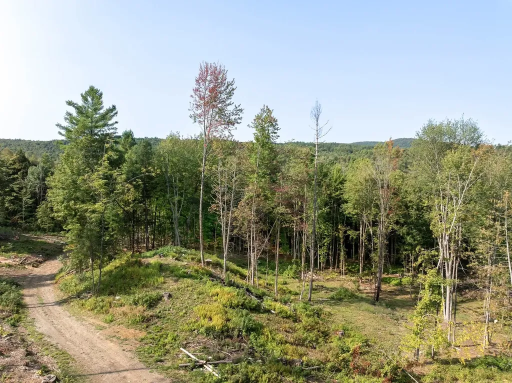 219 Weber Brook Lane Craftsbury VT 05826