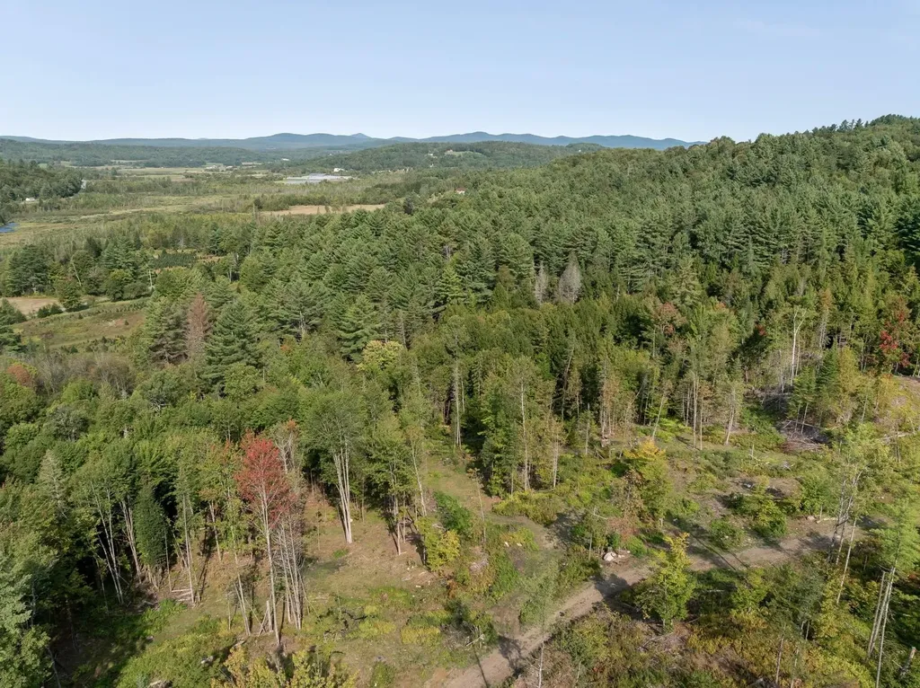219 Weber Brook Lane Craftsbury VT 05826