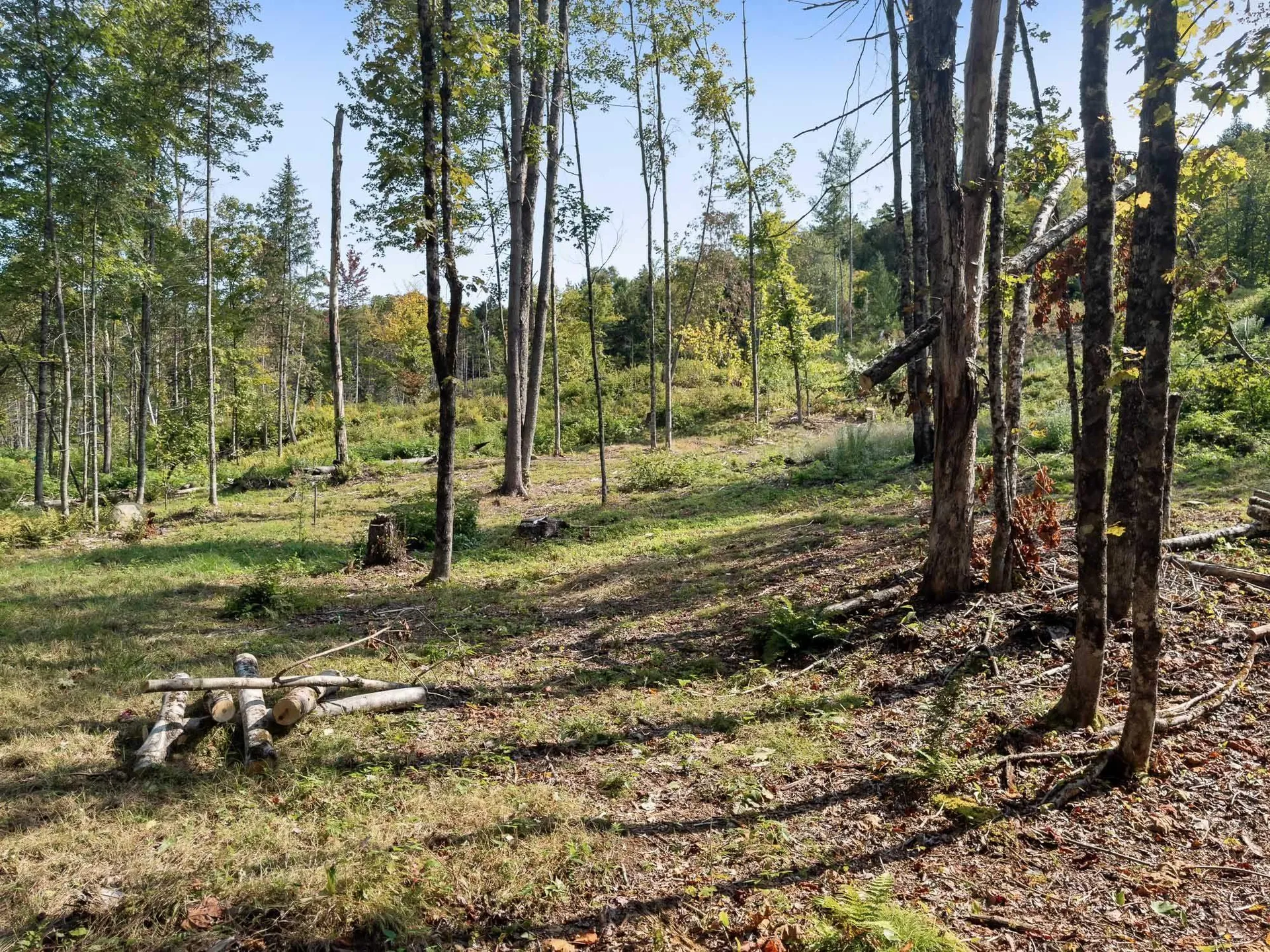 219 Weber Brook Lane Craftsbury VT 05826