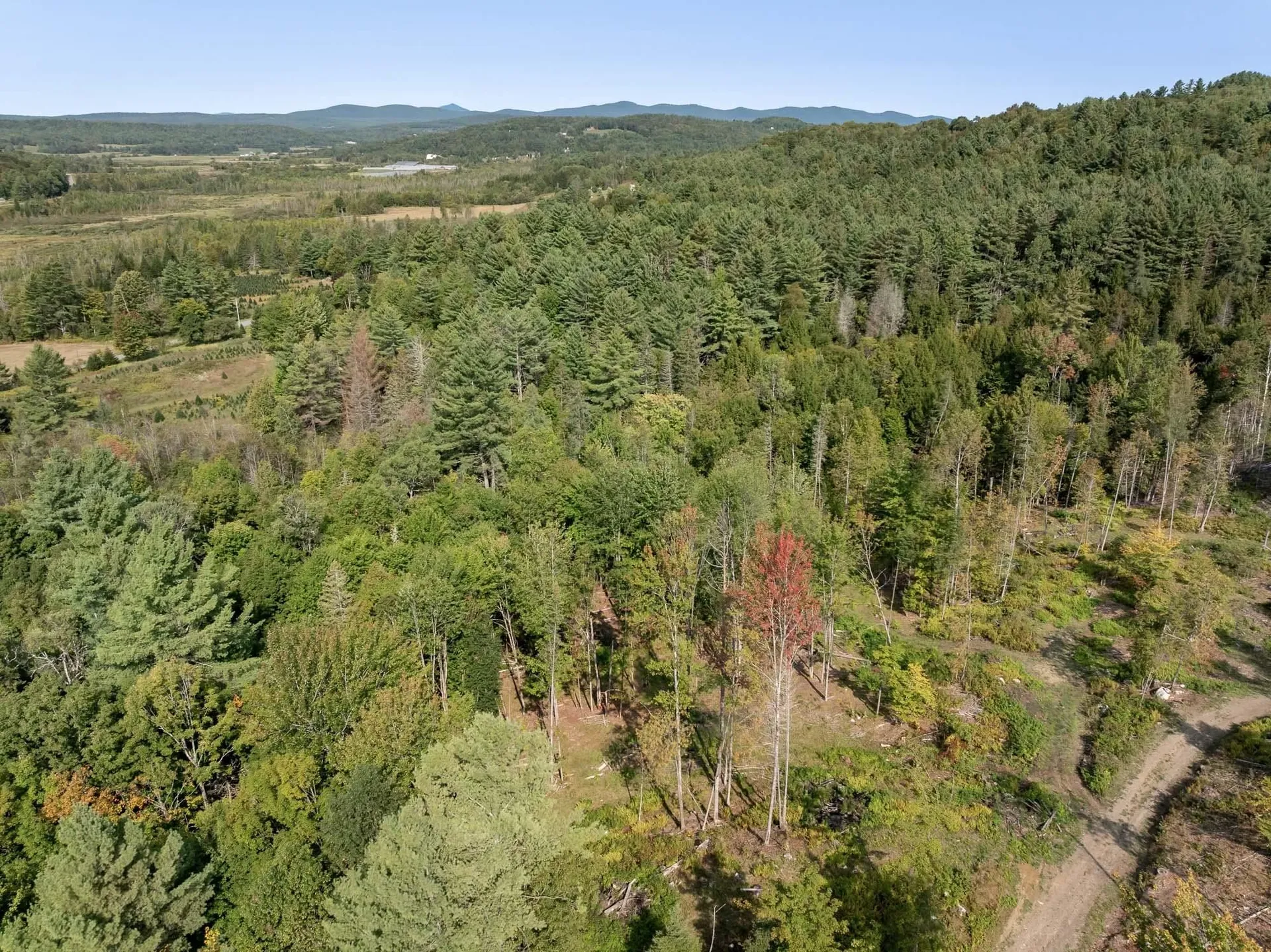 219 Weber Brook Lane Craftsbury VT 05826
