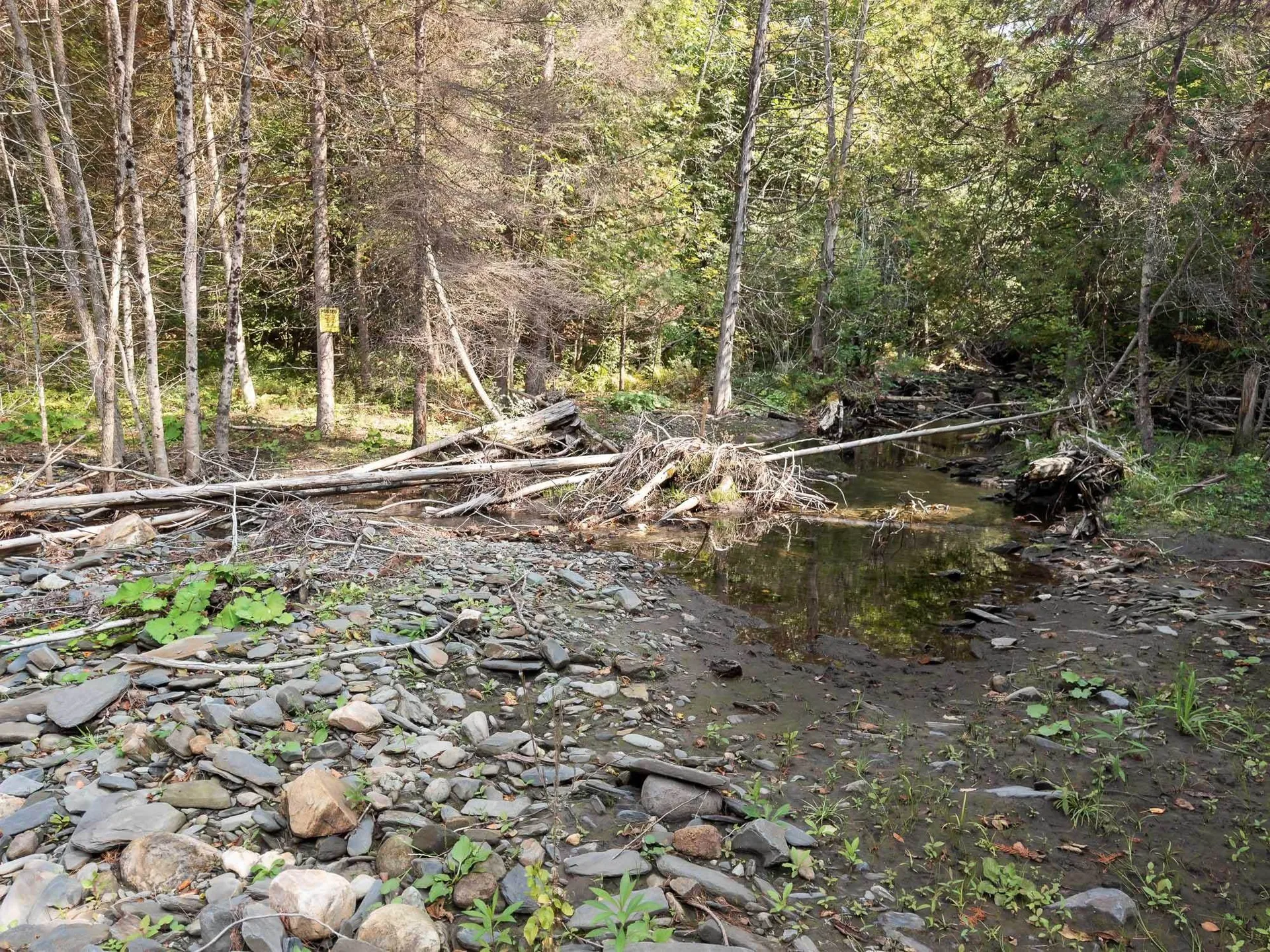 219 Weber Brook Lane Craftsbury VT 05826