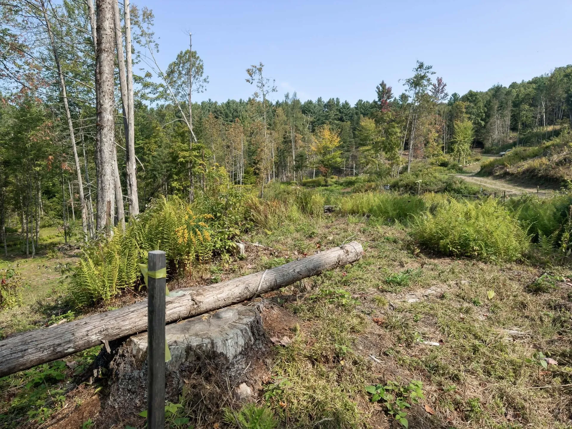 219 Weber Brook Lane Craftsbury VT 05826