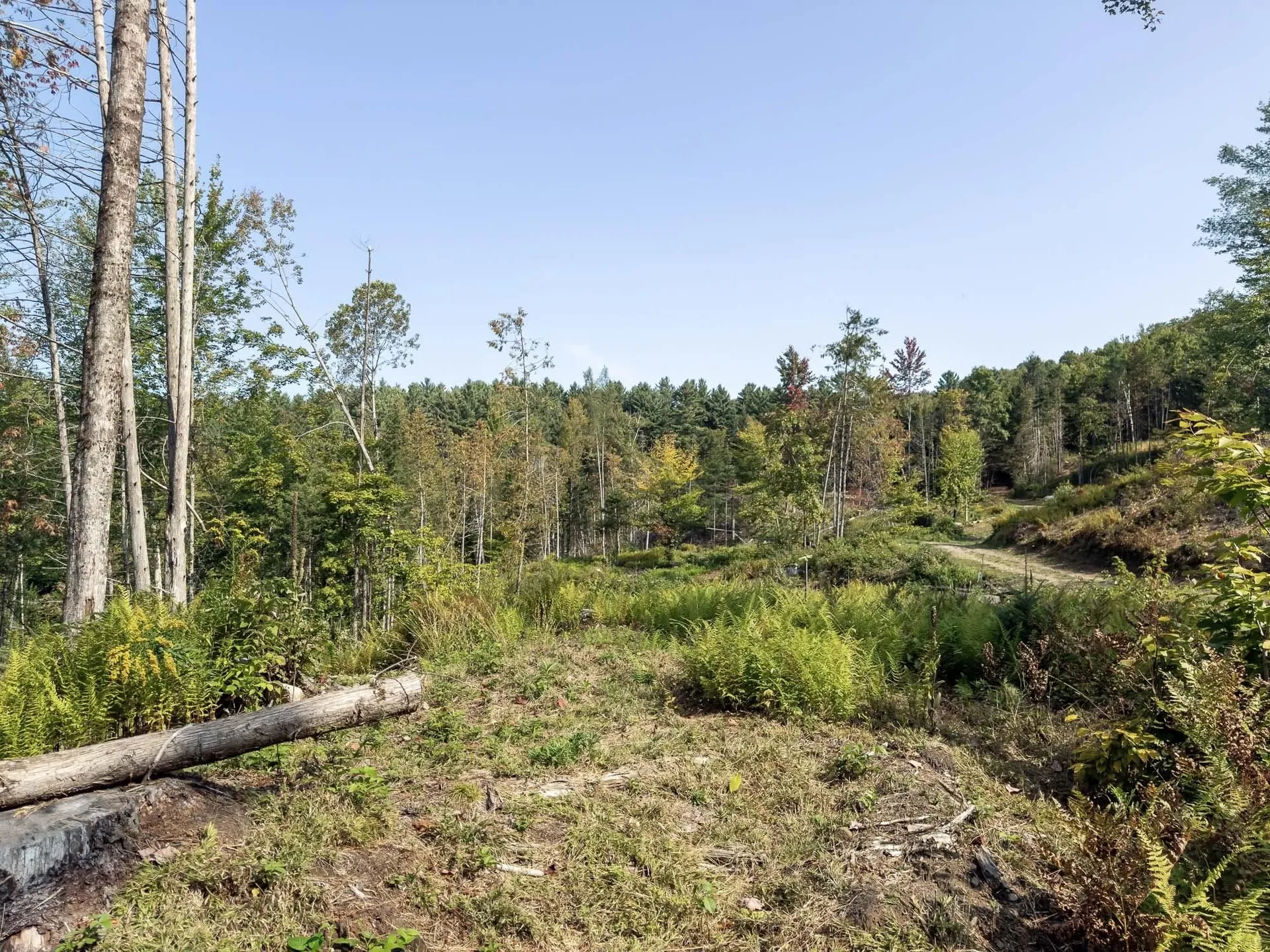 219 Weber Brook Lane Craftsbury VT 05826