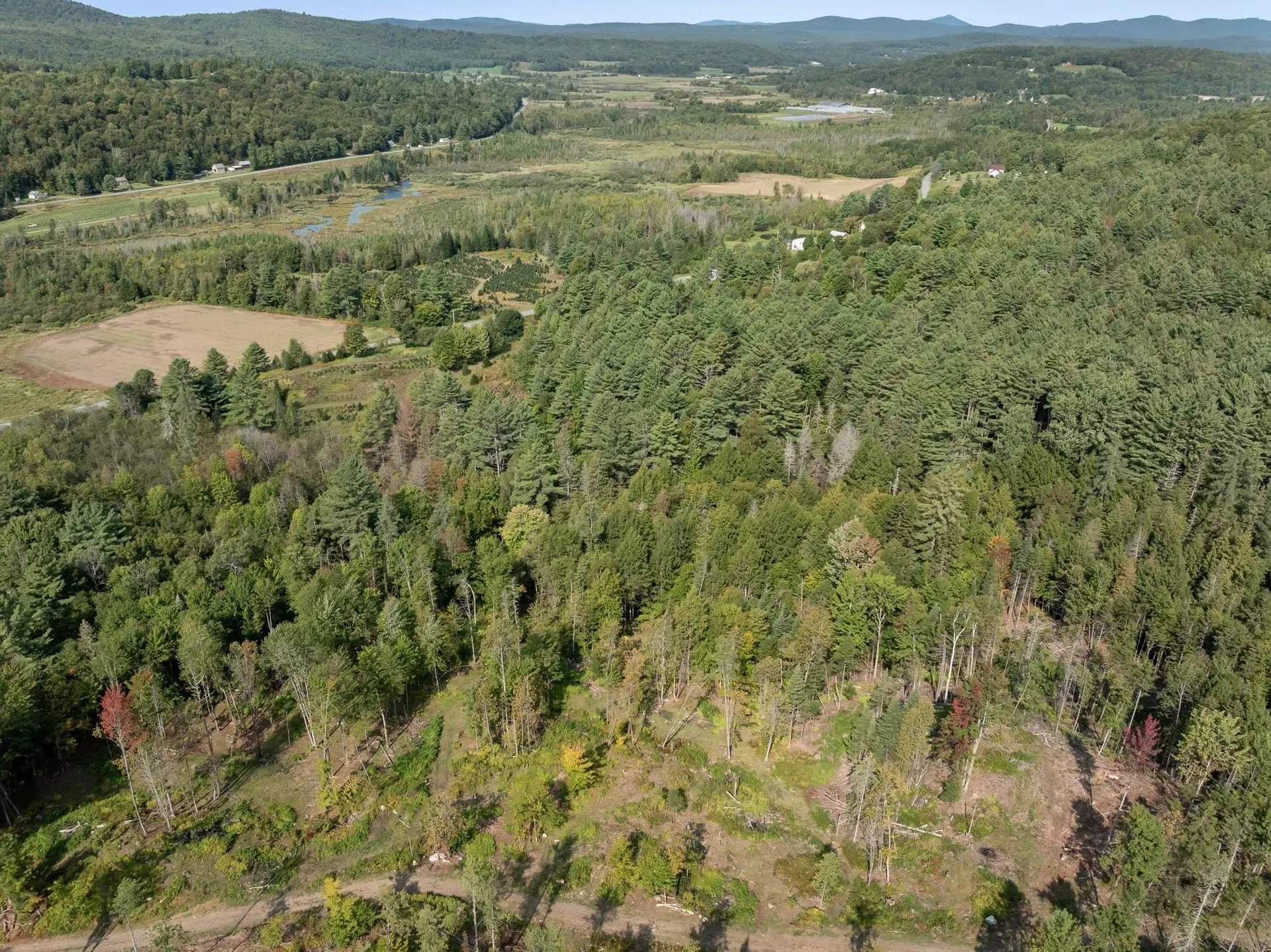 219 Weber Brook Lane Craftsbury VT 05826