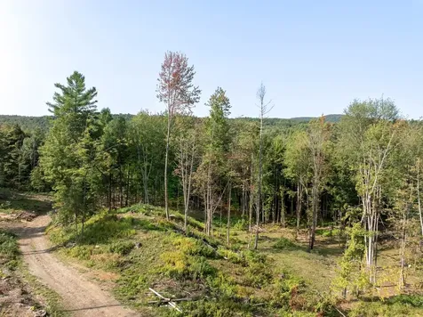 219 Weber Brook Lane Craftsbury VT 05826