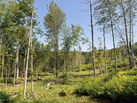 219 Weber Brook Lane Craftsbury VT 05826