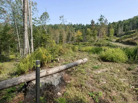 219 Weber Brook Lane Craftsbury VT 05826