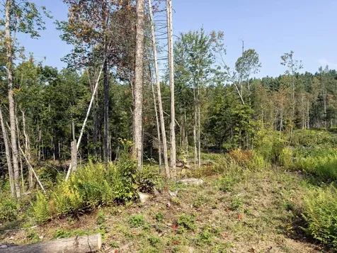 219 Weber Brook Lane Craftsbury VT 05826